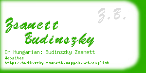 zsanett budinszky business card